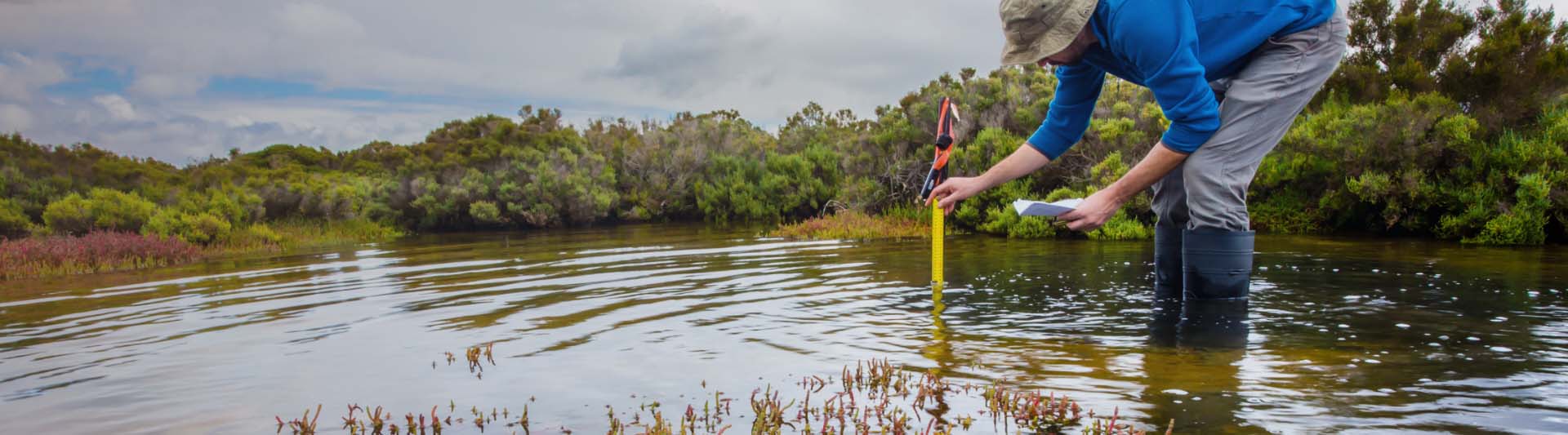 Reconnecting Water Management With Nature: Upscaling Nature-based ...